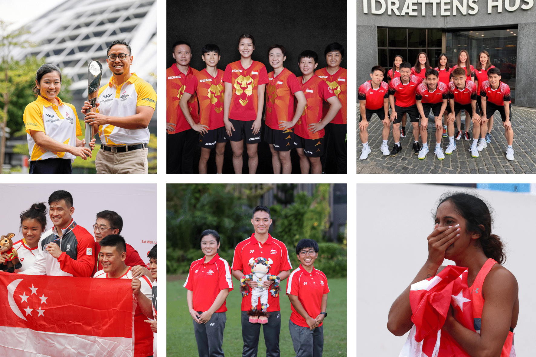 Singapore National Olympic Council